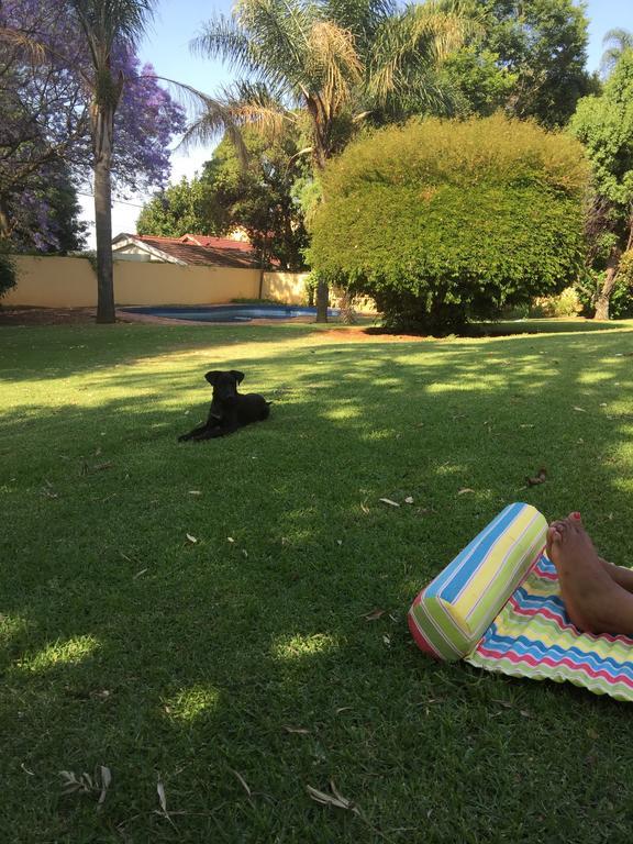 Khuvena Guesthouse Randburg Экстерьер фото